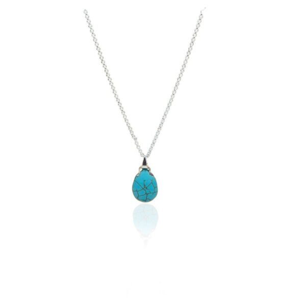 Colar Longo Pedra Turquesa Banho Prata SKU CO-M-3 (1)